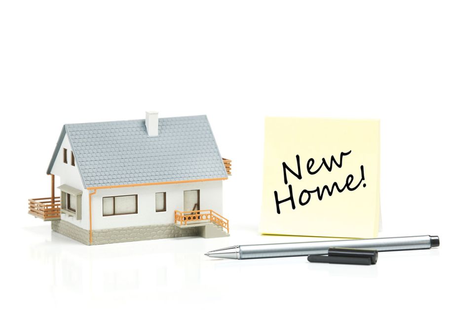 seller-and-purchaser-esponsibilities